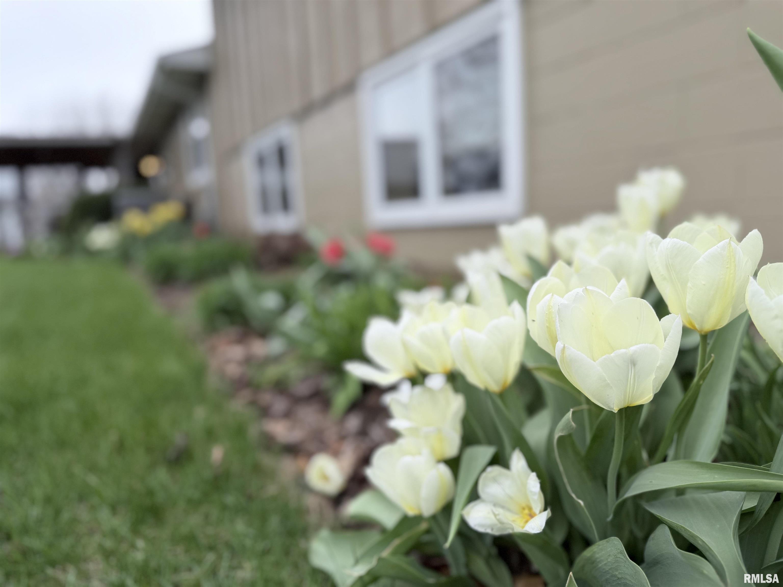 1202 Arthur Lane Metamora, IL 61548 - Photo 61 of 66