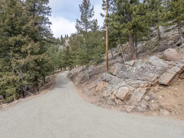 a view of a dirt road with trees in the background
