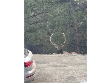 $1,190,000 | 1406 Pika Road, Boulder, CO 80302