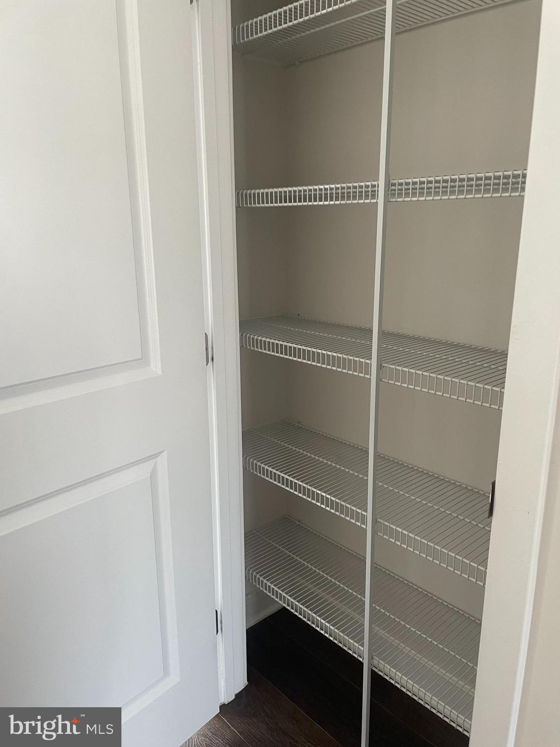 4607 Plum Road Monrovia, MD 21770 - Photo 9 of 52 a close view of closet