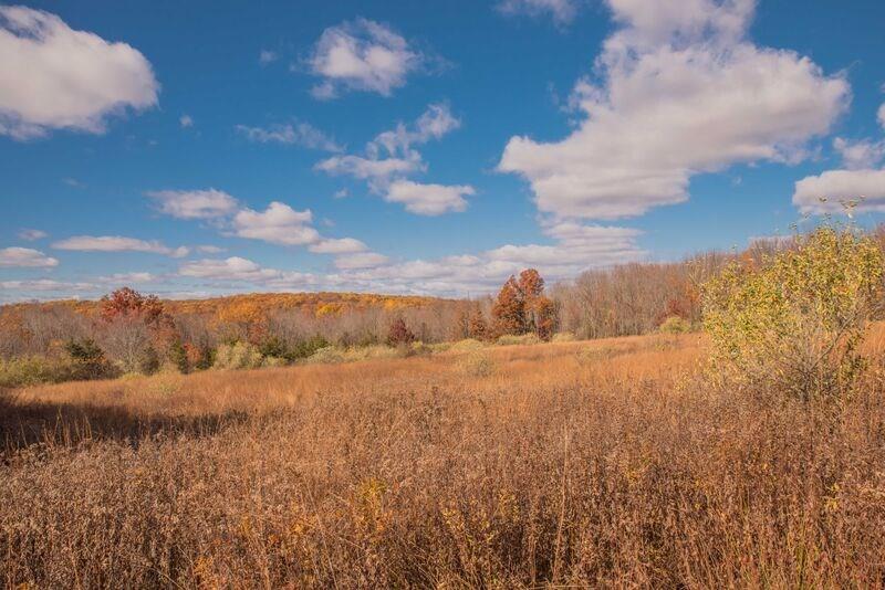 0 Grassy Hill Road Roxbury, CT 06783 - Photo 1 of 1 a view of ocean