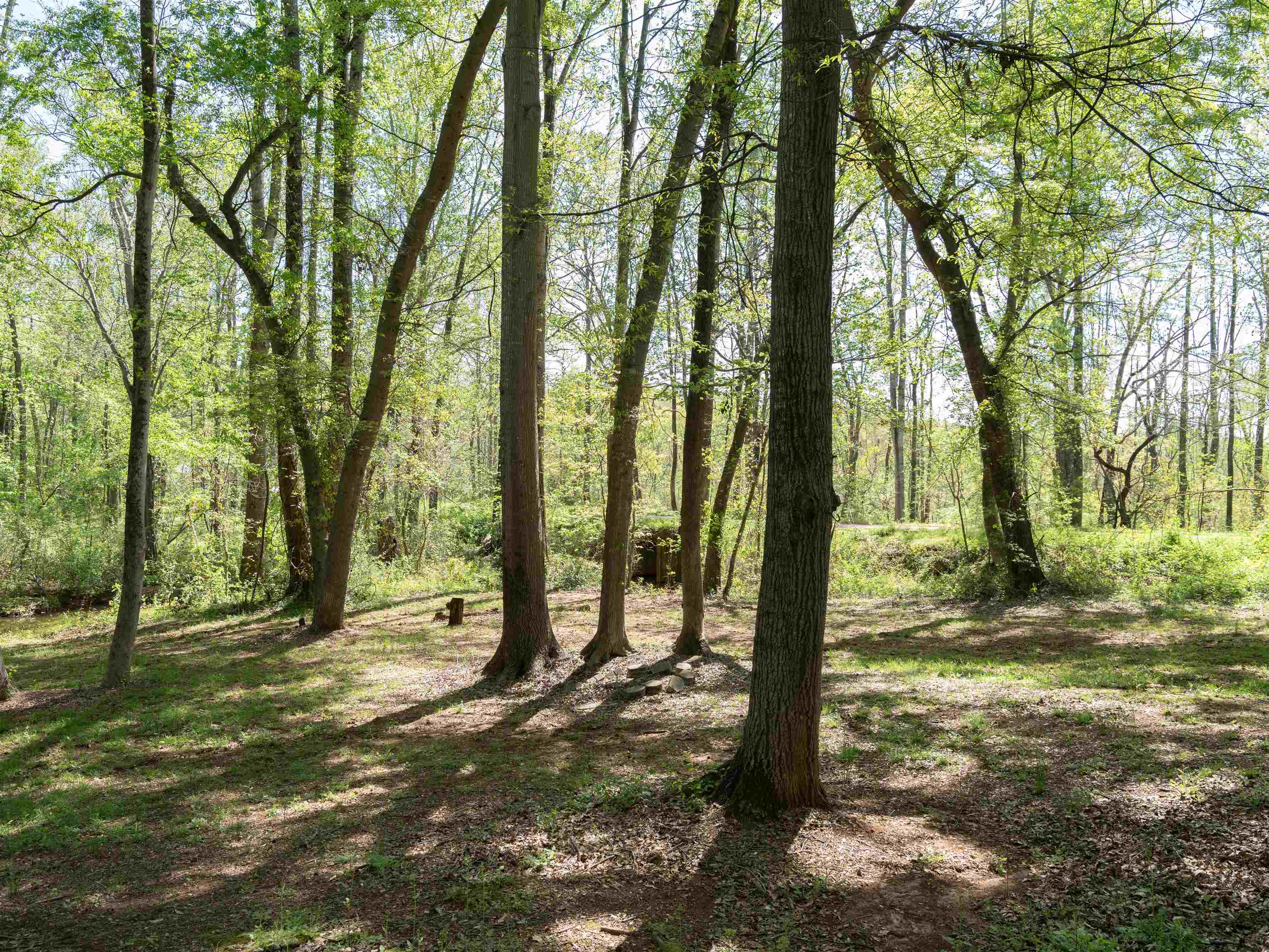 297 Falling Creek Road Spartanburg, SC 29301 - Photo 11 of 38 Gallery Image 11