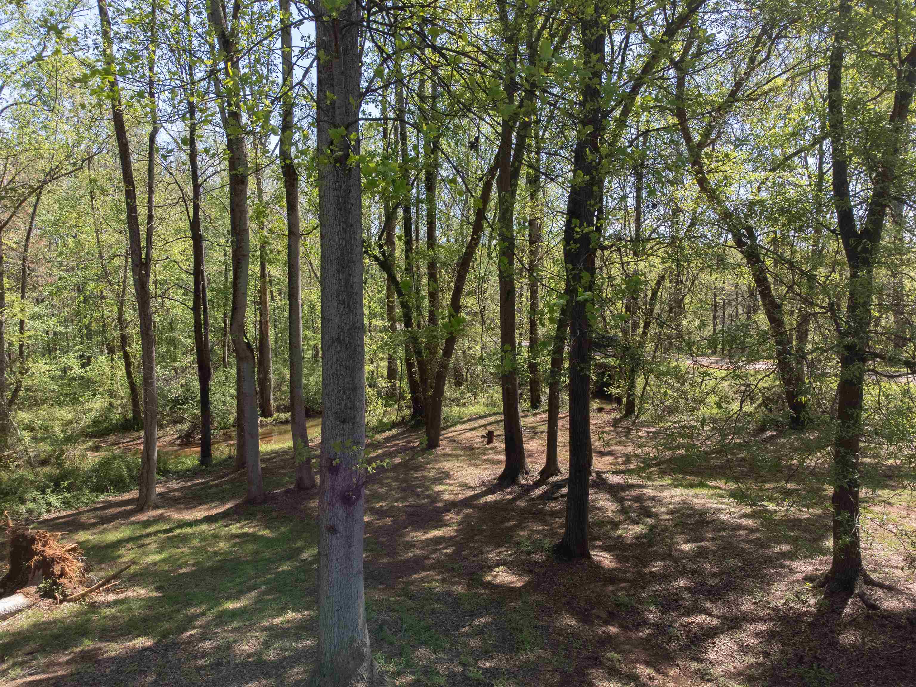 297 Falling Creek Road Spartanburg, SC 29301 - Photo 32 of 38 Gallery Image 32