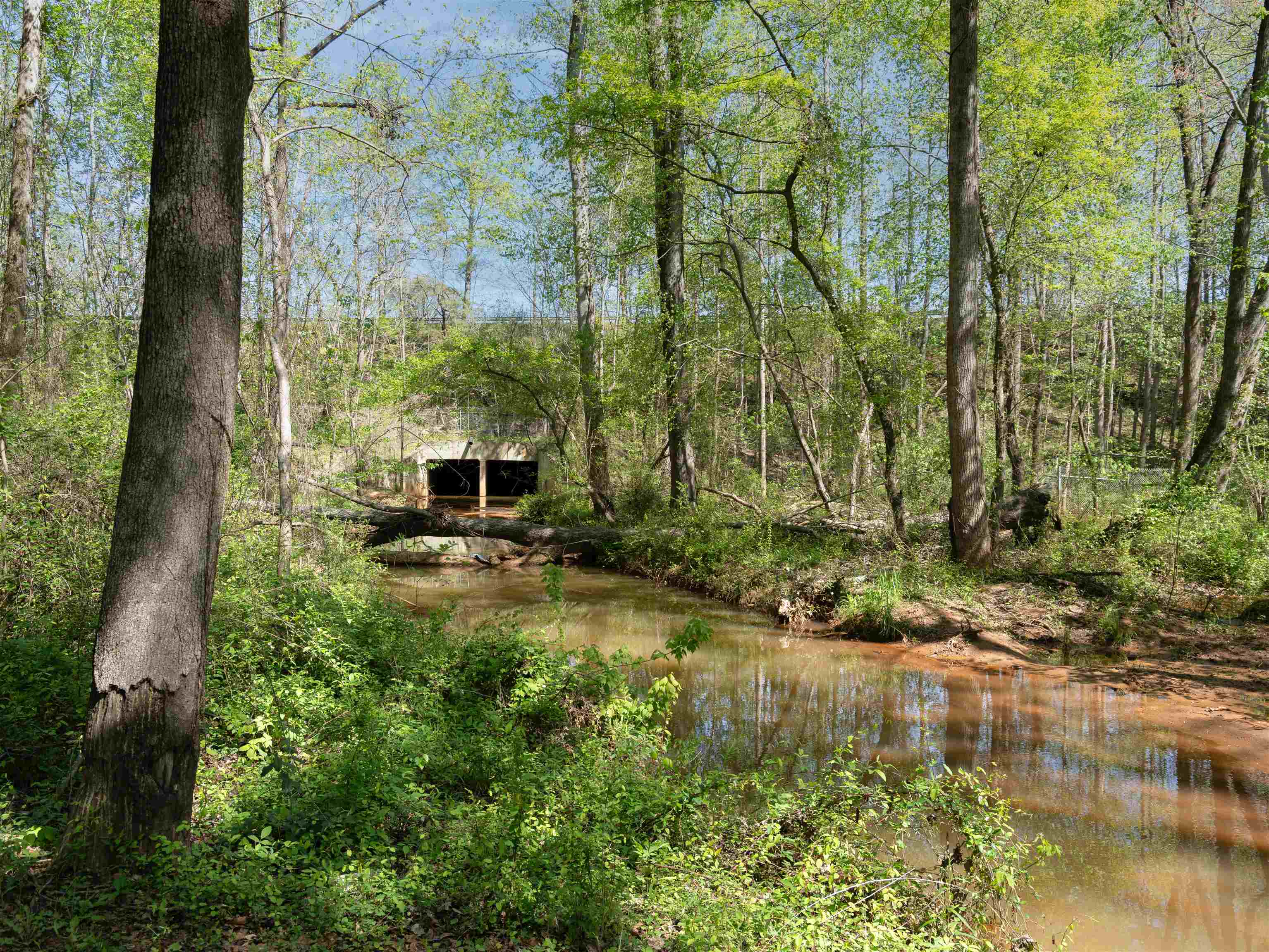 297 Falling Creek Road Spartanburg, SC 29301 - Photo 35 of 38 Gallery Image 35