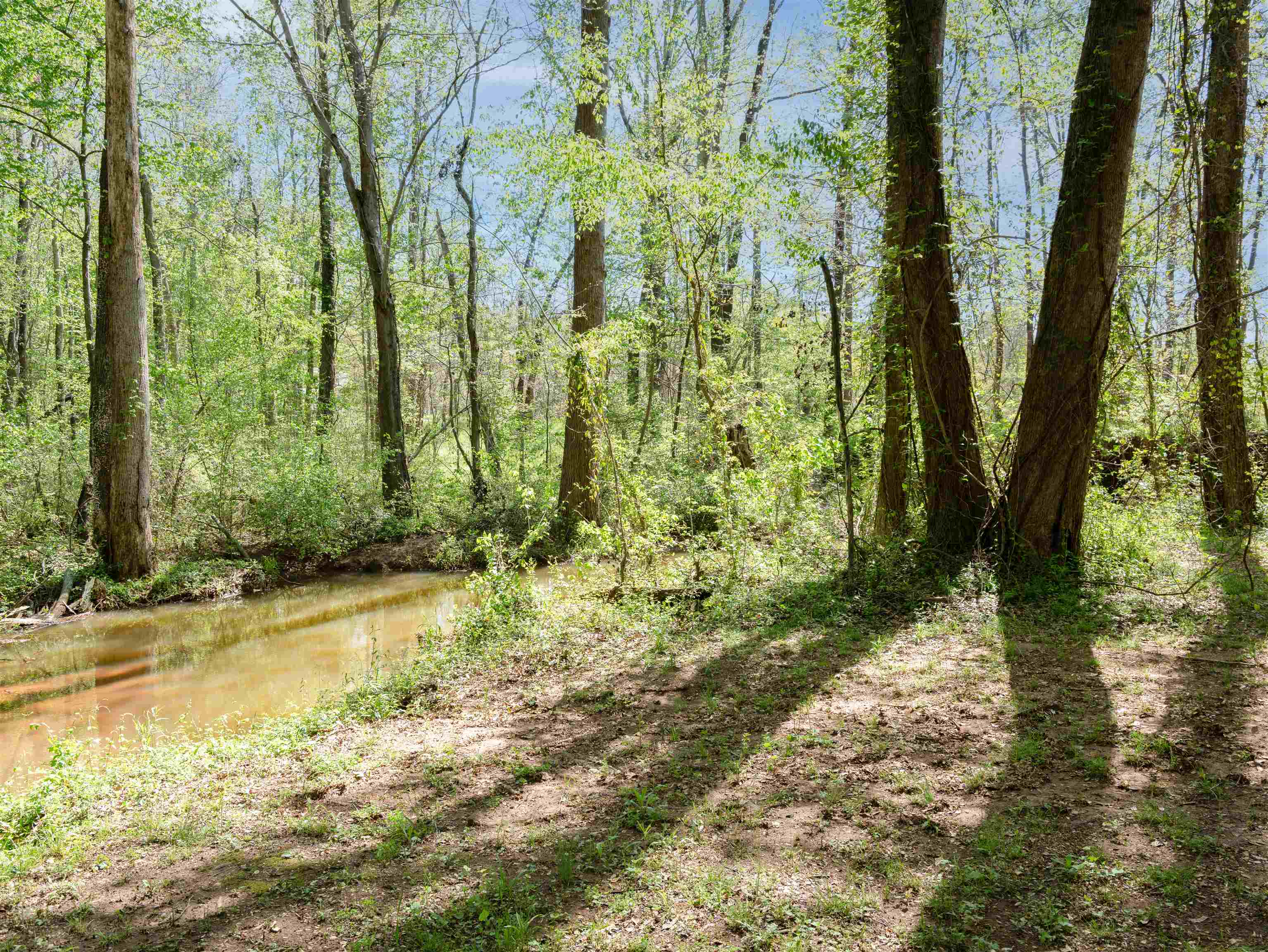 297 Falling Creek Road Spartanburg, SC 29301 - Photo 36 of 38 Gallery Image 36