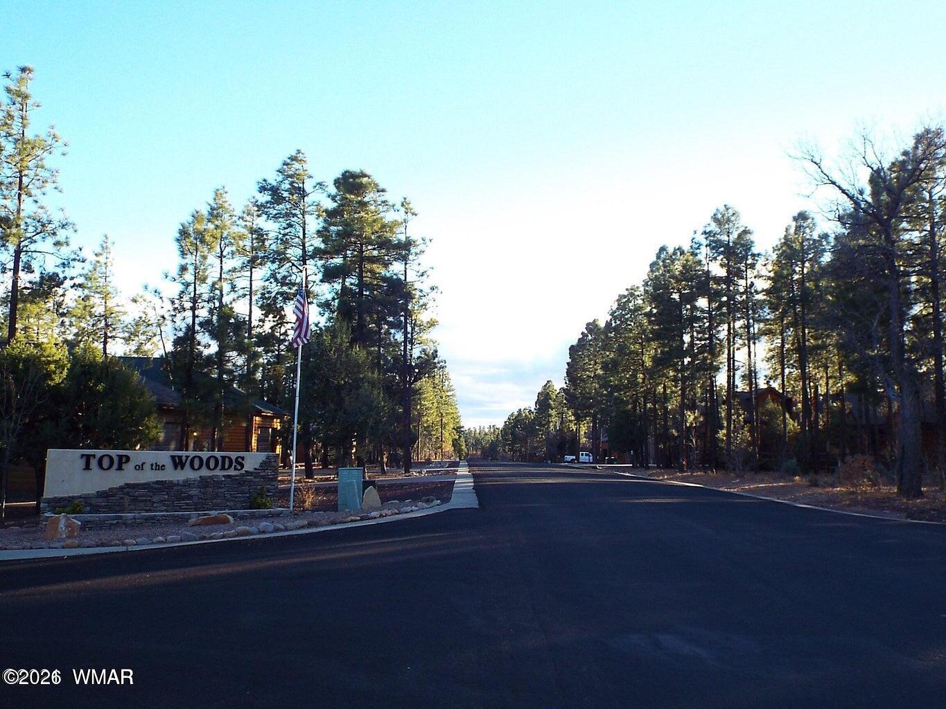 2425 South Timber Pine Lane Pinetop, AZ 85935 - Photo 10 of 16 a view of street with tree s