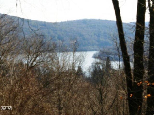 1 Sheehan Road Warren, CT 06777 - Photo 1 of 1 a view of a forest