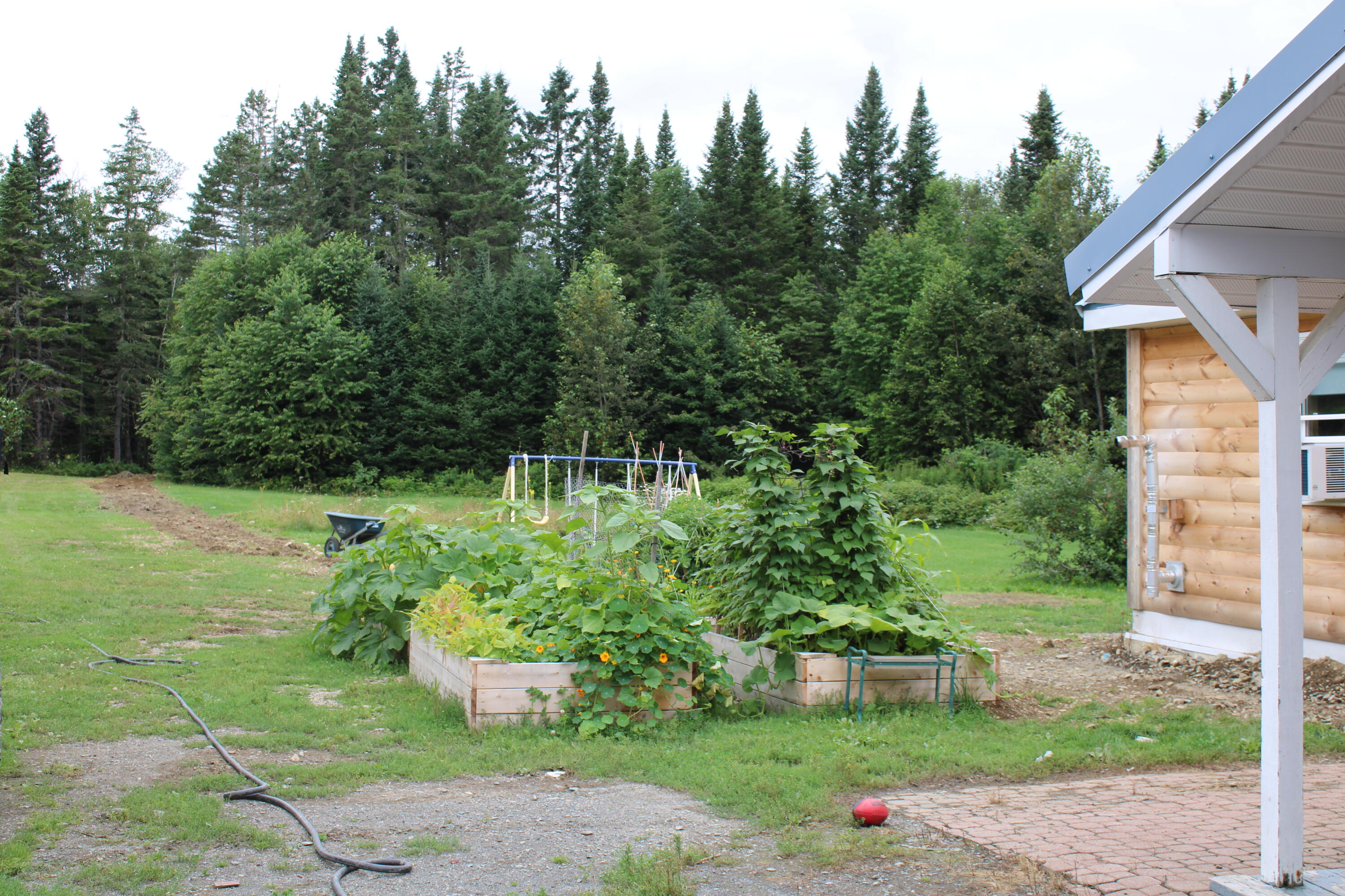 231 Grivois Road Grand Isle, ME 04746 - Photo 9 of 116 IMG_0231