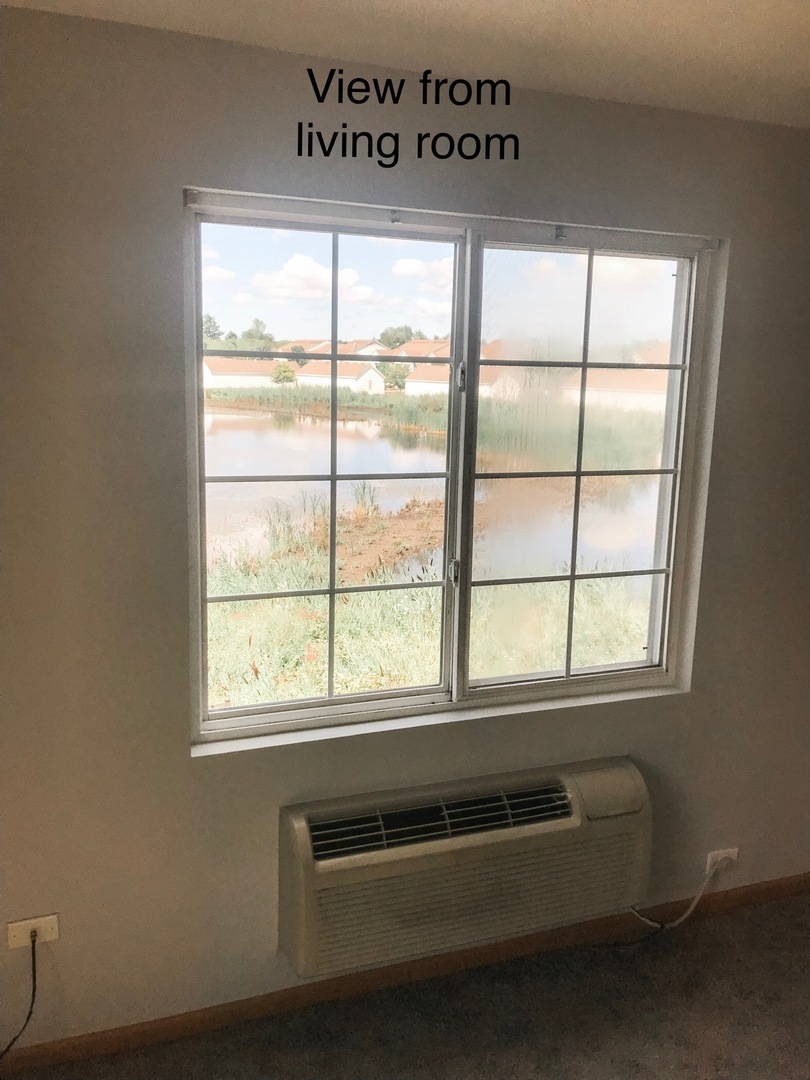 1131 Silverstone Drive, Unit 1131 Carpentersville, IL 60110 - Photo 8 of 23 a view of a window in a room