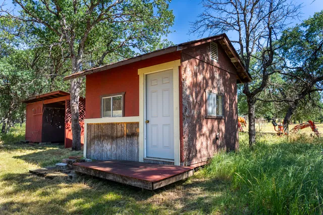 a view of backyard with a barn and large trees