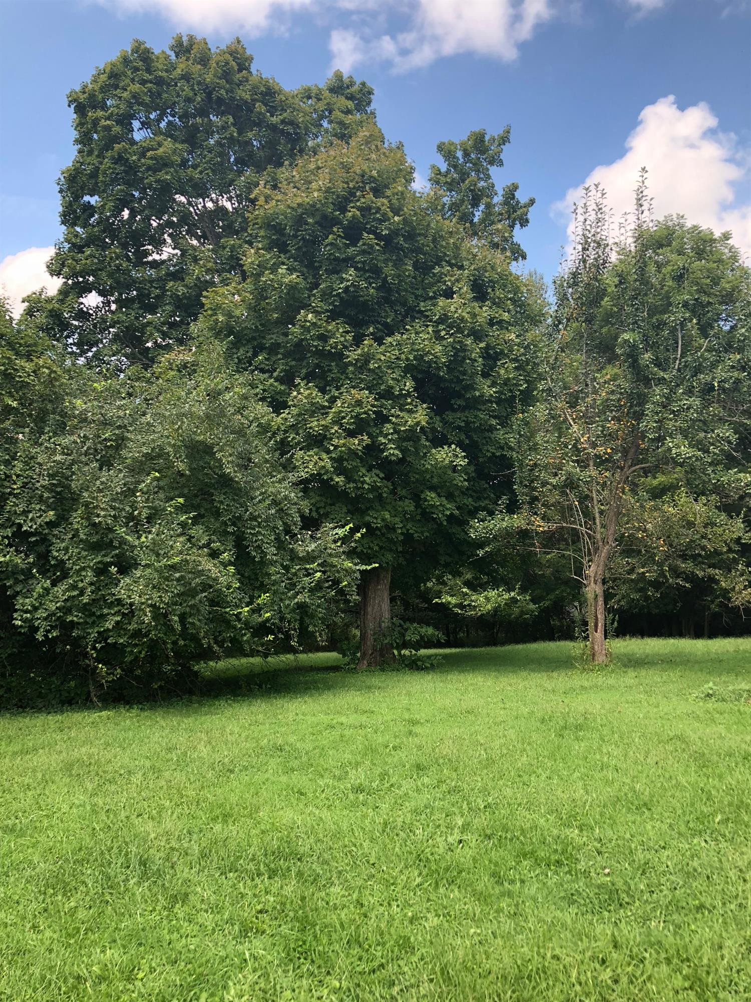 522 Bryant's Camp Road Lancaster, KY 40444 - Photo 2 of 4 Photo 2