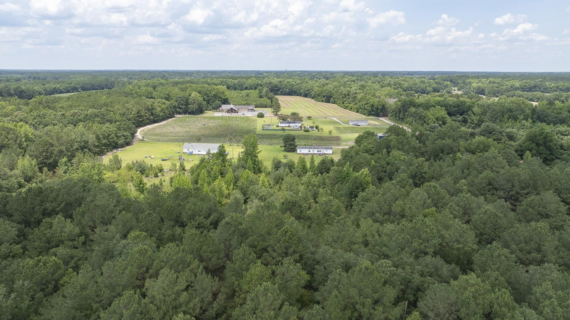 2 Joseph Lemon And Dingle Road Manning, SC 29102 - Photo 22 of 44