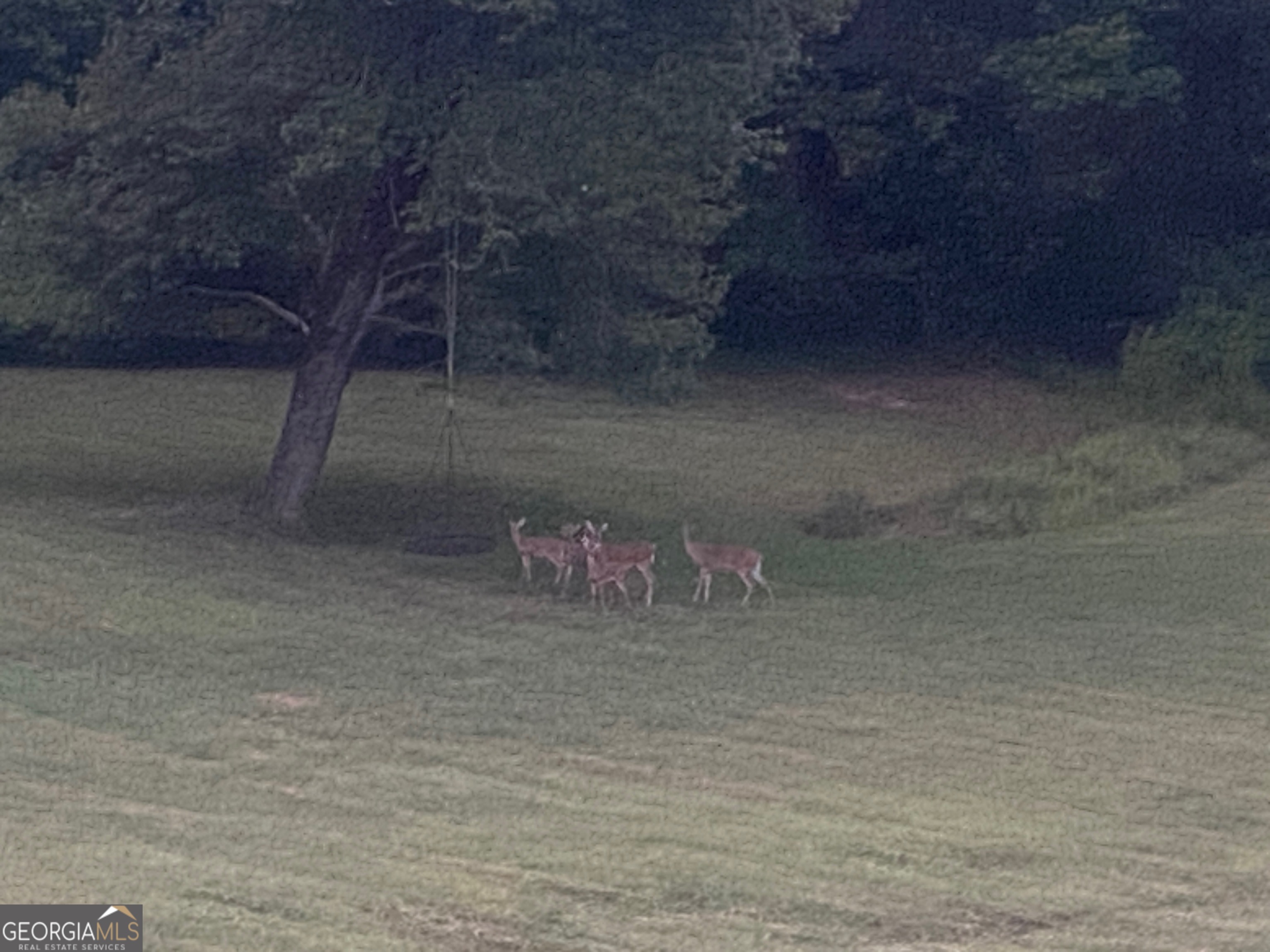 5265 New Liberty Road Clarkesville, GA 30523 - Photo 75 of 76