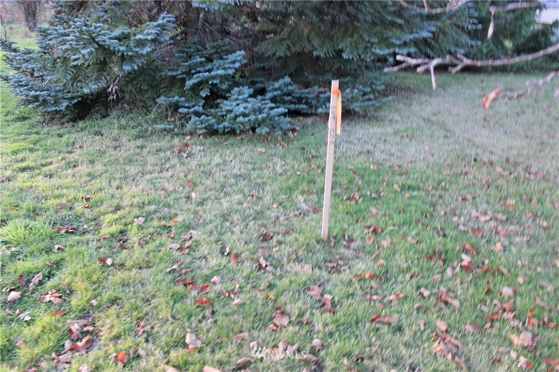 2811 A Russell Road Centralia, WA 98531 - Photo 5 of 12 Gallery Image 5