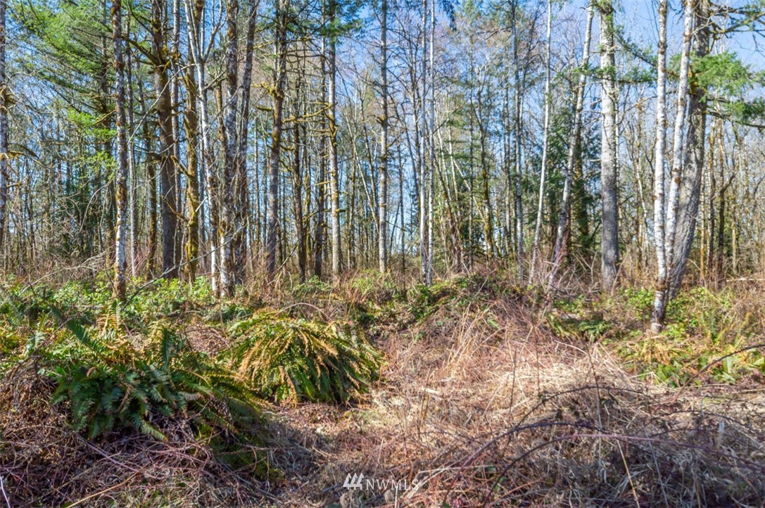 227 Palmer Road Napavine, WA 98532 - Photo 2 of 12