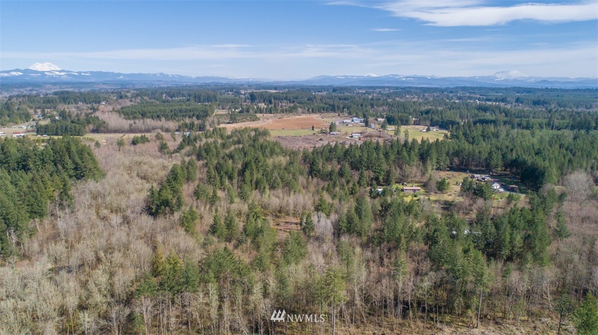 227 Palmer Road Napavine, WA 98532 - Photo 11 of 12