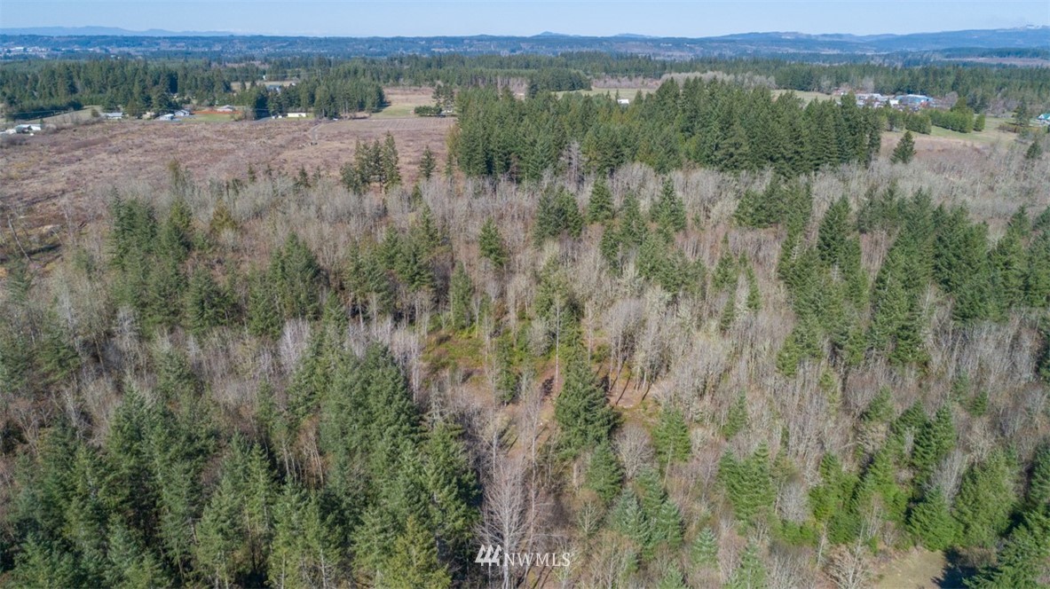 227 Palmer Road Napavine, WA 98532 - Photo 9 of 12