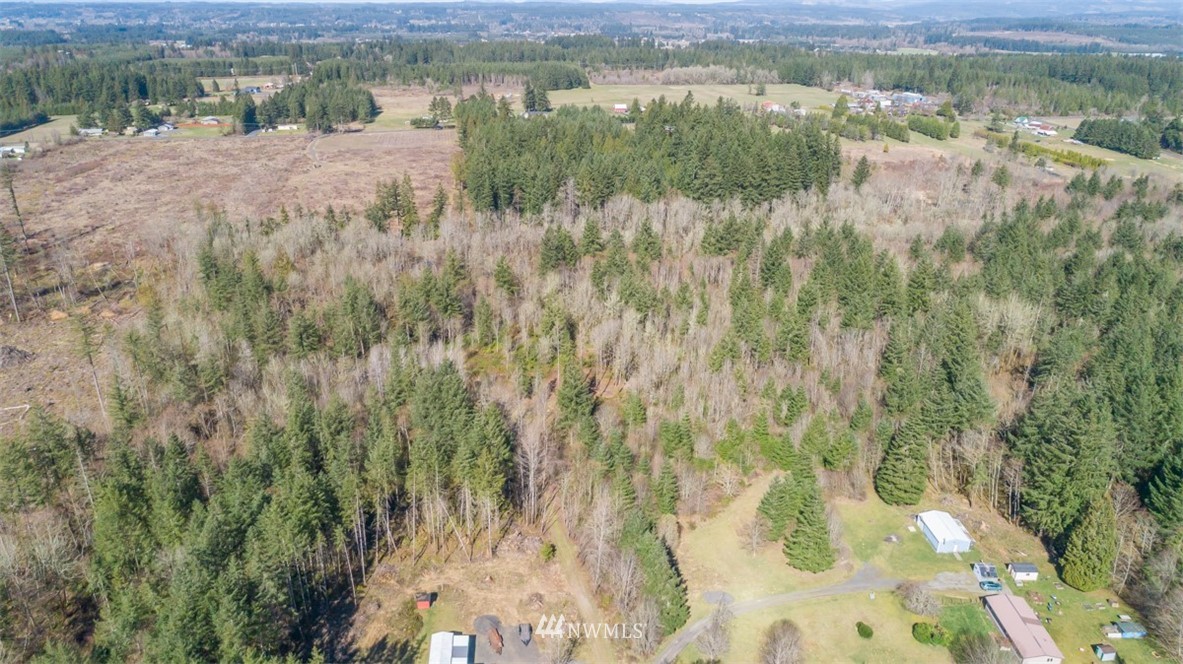 227 Palmer Road Napavine, WA 98532 - Photo 10 of 12