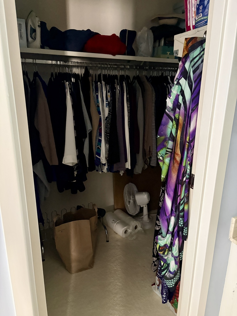 5802 Wolf Road, Unit 1 Western Springs, IL 60558 - Photo 11 of 16 a close view of walk in closet with clothes and shoes