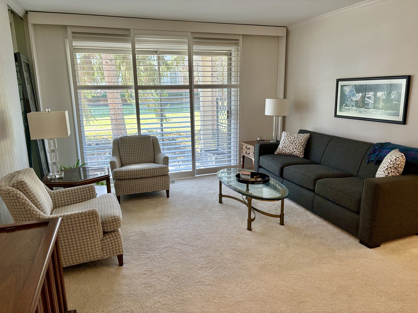 5802 Wolf Road, Unit 1 Western Springs, IL 60558 - Photo 3 of 16 a living room with furniture and a large window