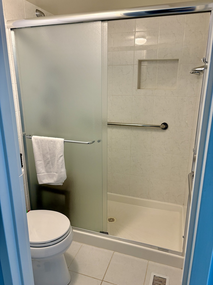 5802 Wolf Road, Unit 1 Western Springs, IL 60558 - Photo 10 of 16 a bathroom with a toilet and a shower