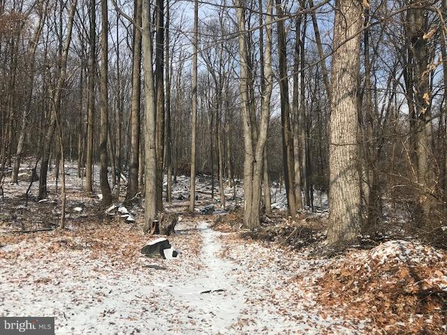 5422 Shookstown Road Frederick, MD 21702 - Photo 4 of 10 Property goes in the woods around the brim!