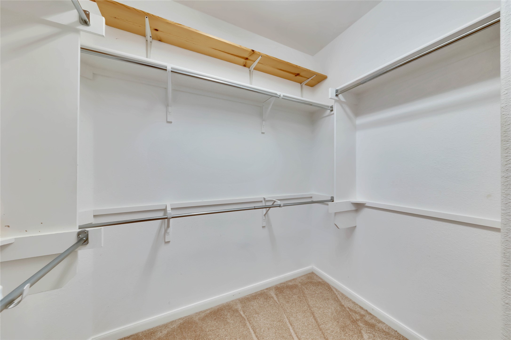 2133 Paradise Ridge Drive Round Rock, TX 78665 - Photo 18 of 22 Walk-in closet with carpet flooring, white walls, and built-in wood and metal shelving