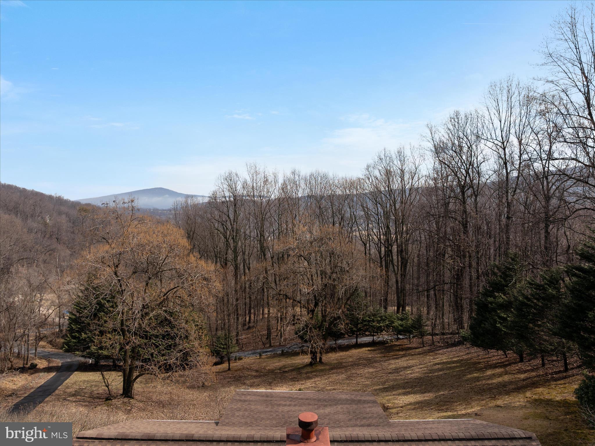 1057 Harmony Orchard Road Front Royal, VA 22630 - Photo 47 of 48 a view of a forest
