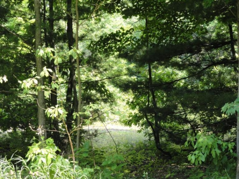 6511 Johnson Road Coloma, MI 49038 - Photo 12 of 12 Additional Photo