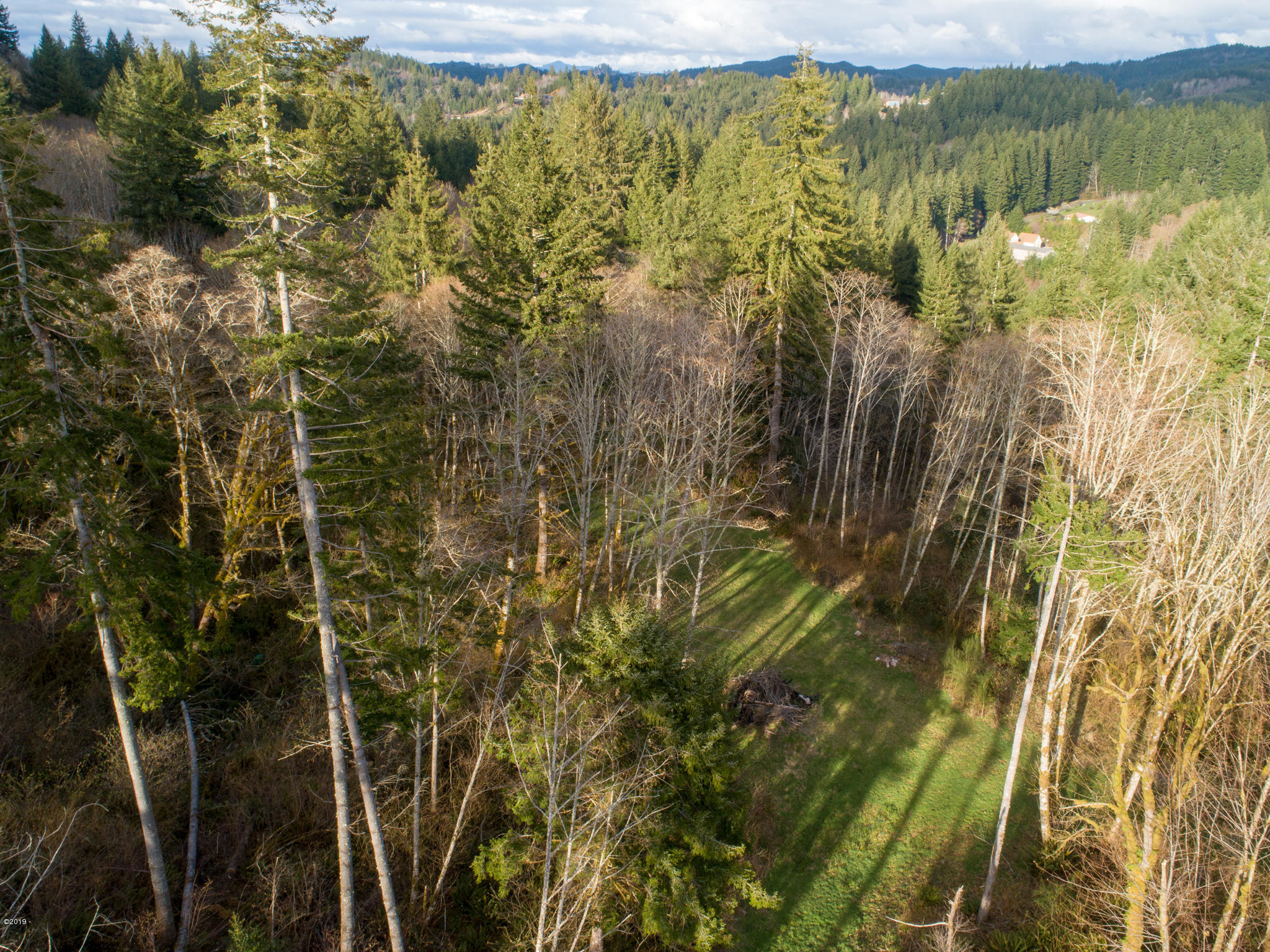 2 Olalla Road Toledo, OR 97391 - Photo 5 of 14 Olalla Road Toledo (4)