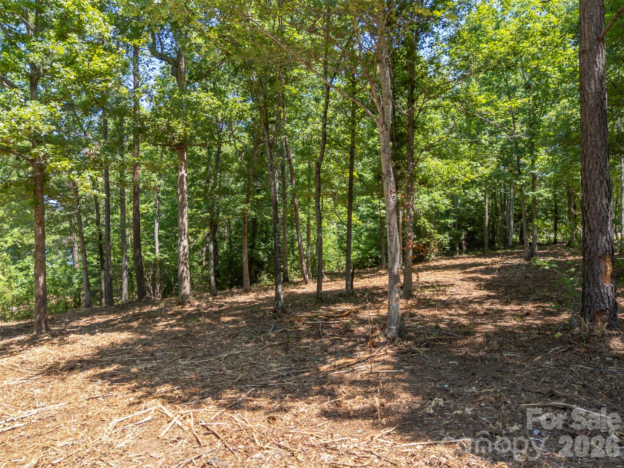 0 Doveridge Drive, Unit 66 Tryon, NC 28782 - Photo 16 of 21 a view of outdoor space with trees