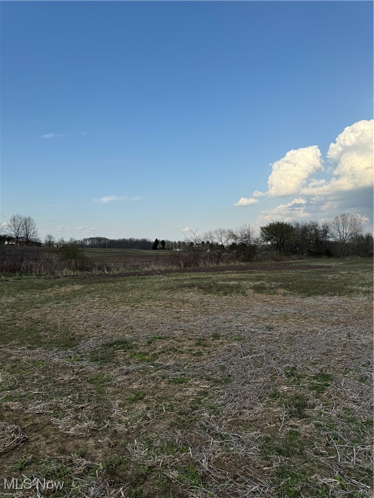 North St Road Utica, OH 43080 - Photo 4 of 14 View of local wilderness with a rural view