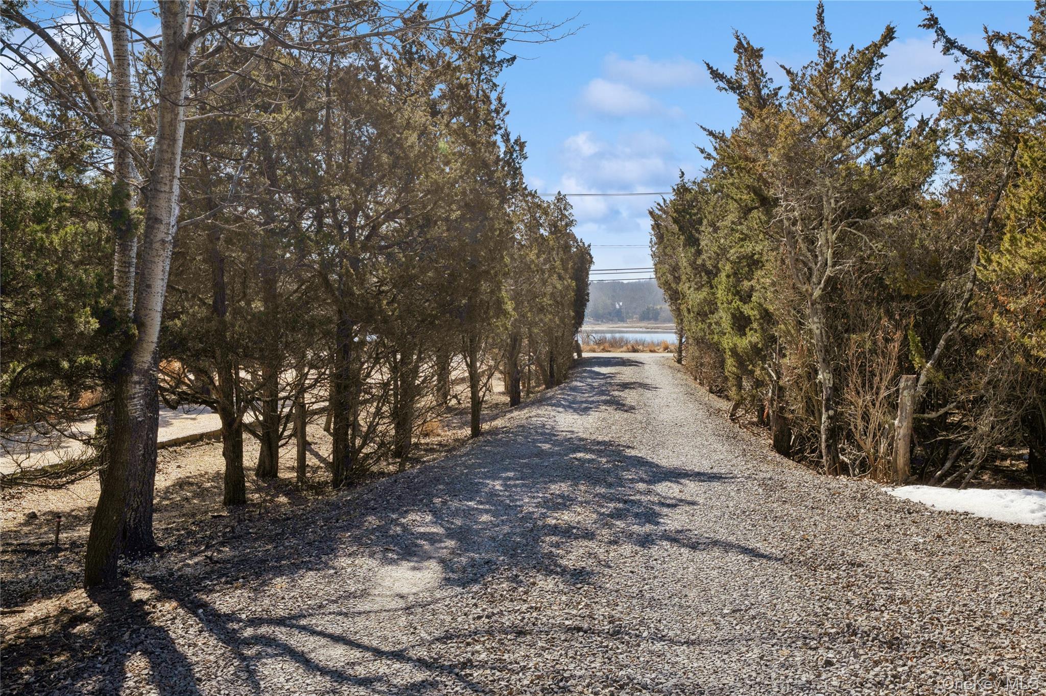 171 Harbor Beach Road Mount Sinai, NY 11766 - Photo 35 of 43 a view of a trees with yard