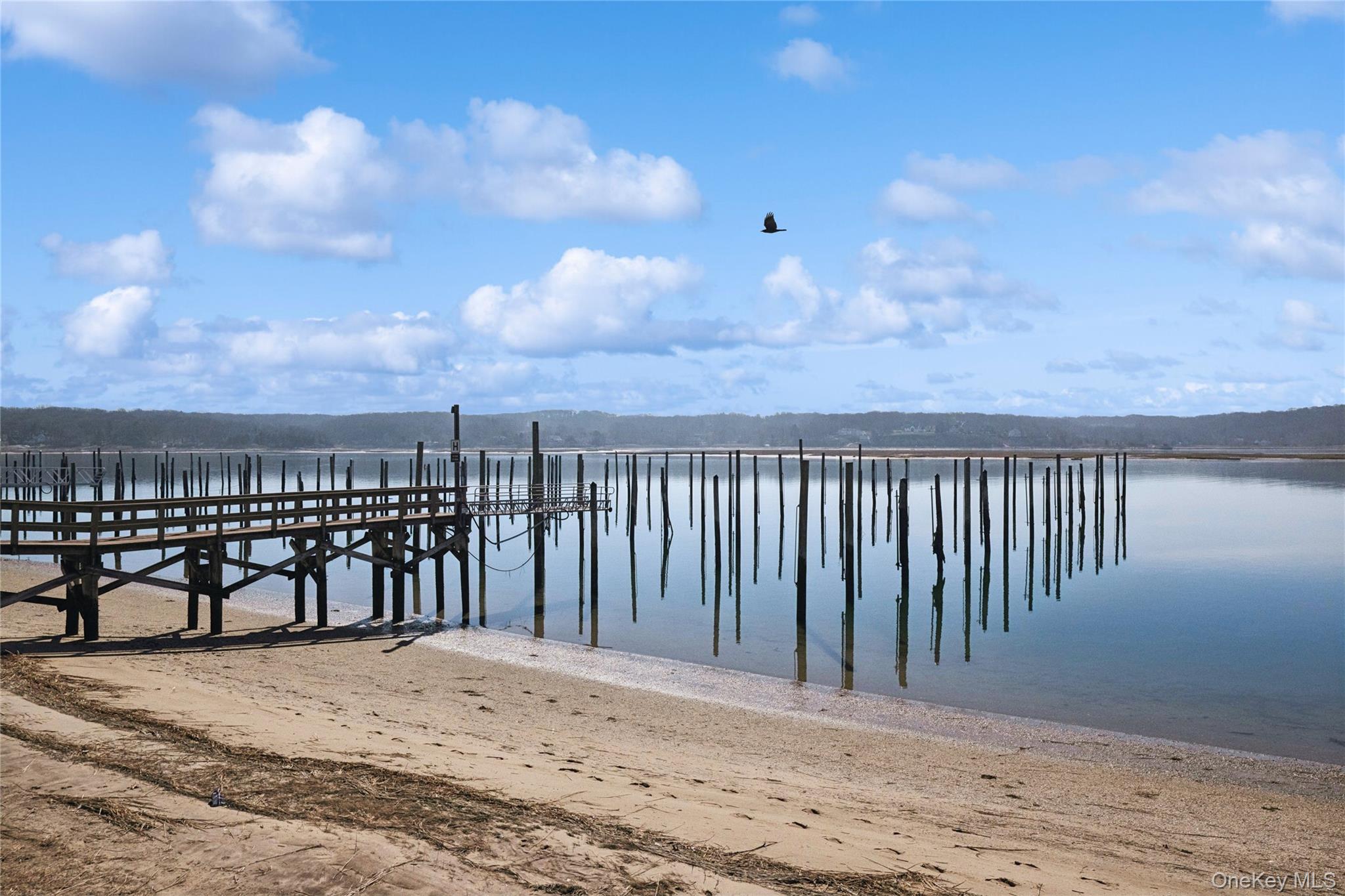 171 Harbor Beach Road Mount Sinai, NY 11766 - Photo 38 of 43