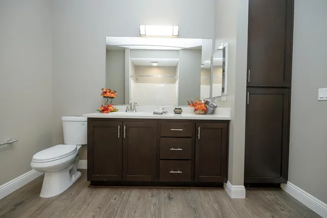 a bathroom with a sink mirror vanity and toilet