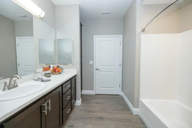 a bathroom with a sink and a mirror