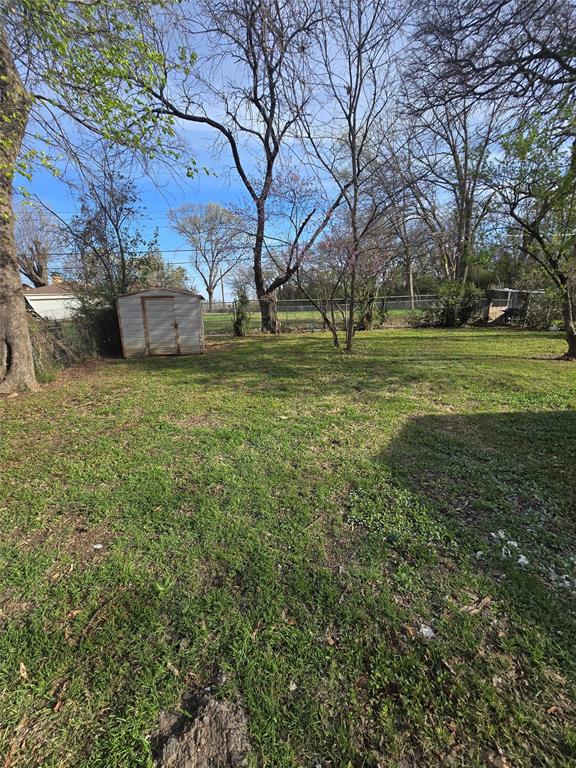 3827 Black Oak Drive Dallas, TX 75241 - Photo 11 of 11 a view of yard with tree