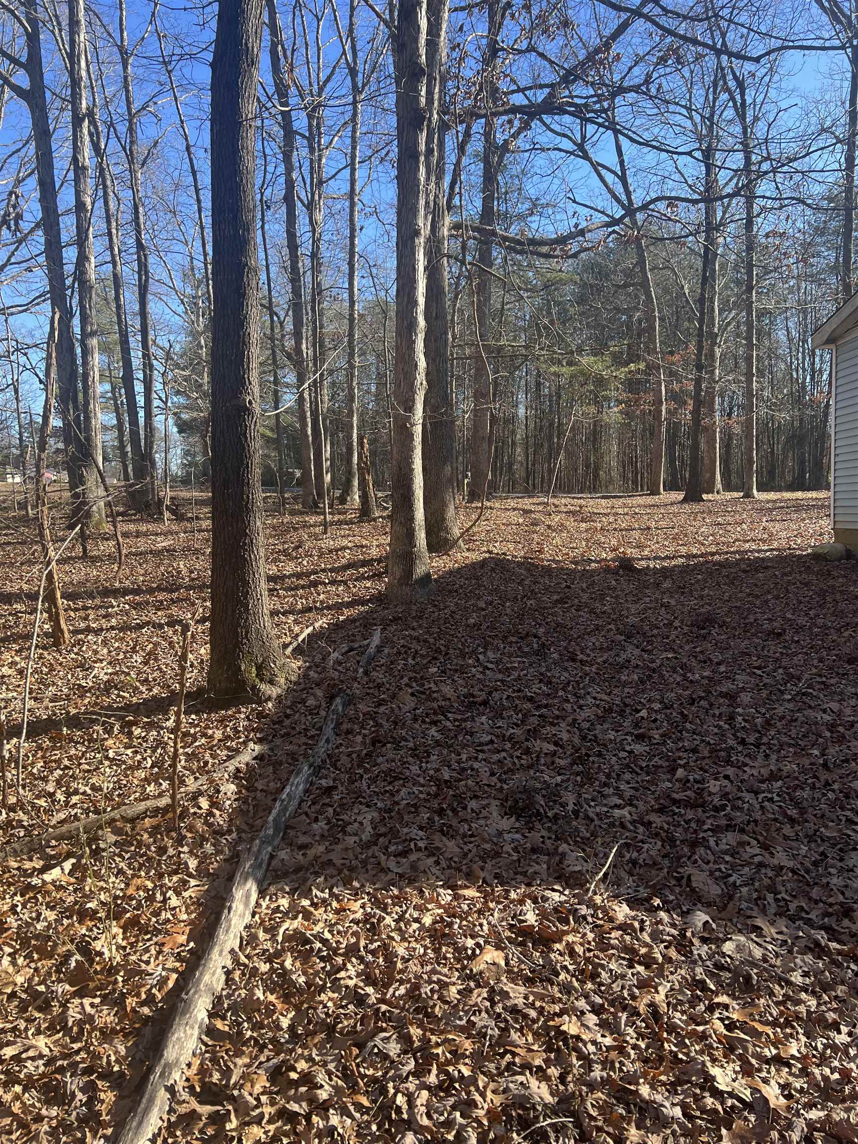 125 Blue Dawn Road Chesnee, SC 29323 - Photo 25 of 34