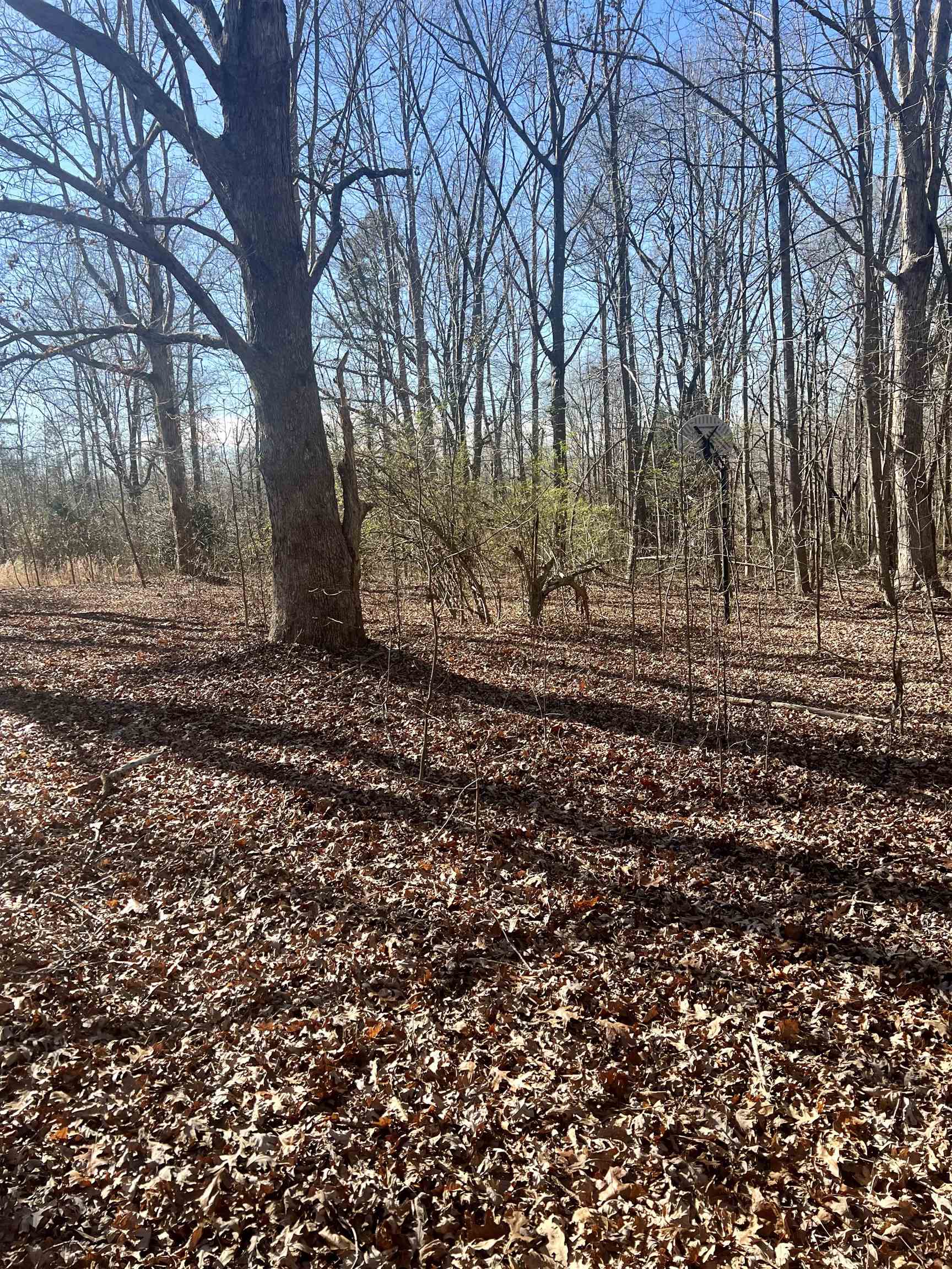125 Blue Dawn Road Chesnee, SC 29323 - Photo 26 of 34