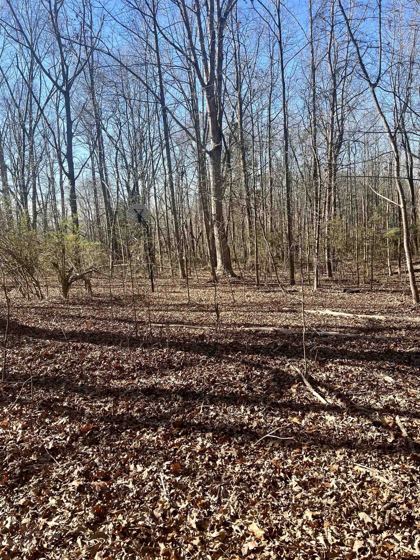 125 Blue Dawn Road Chesnee, SC 29323 - Photo 28 of 34