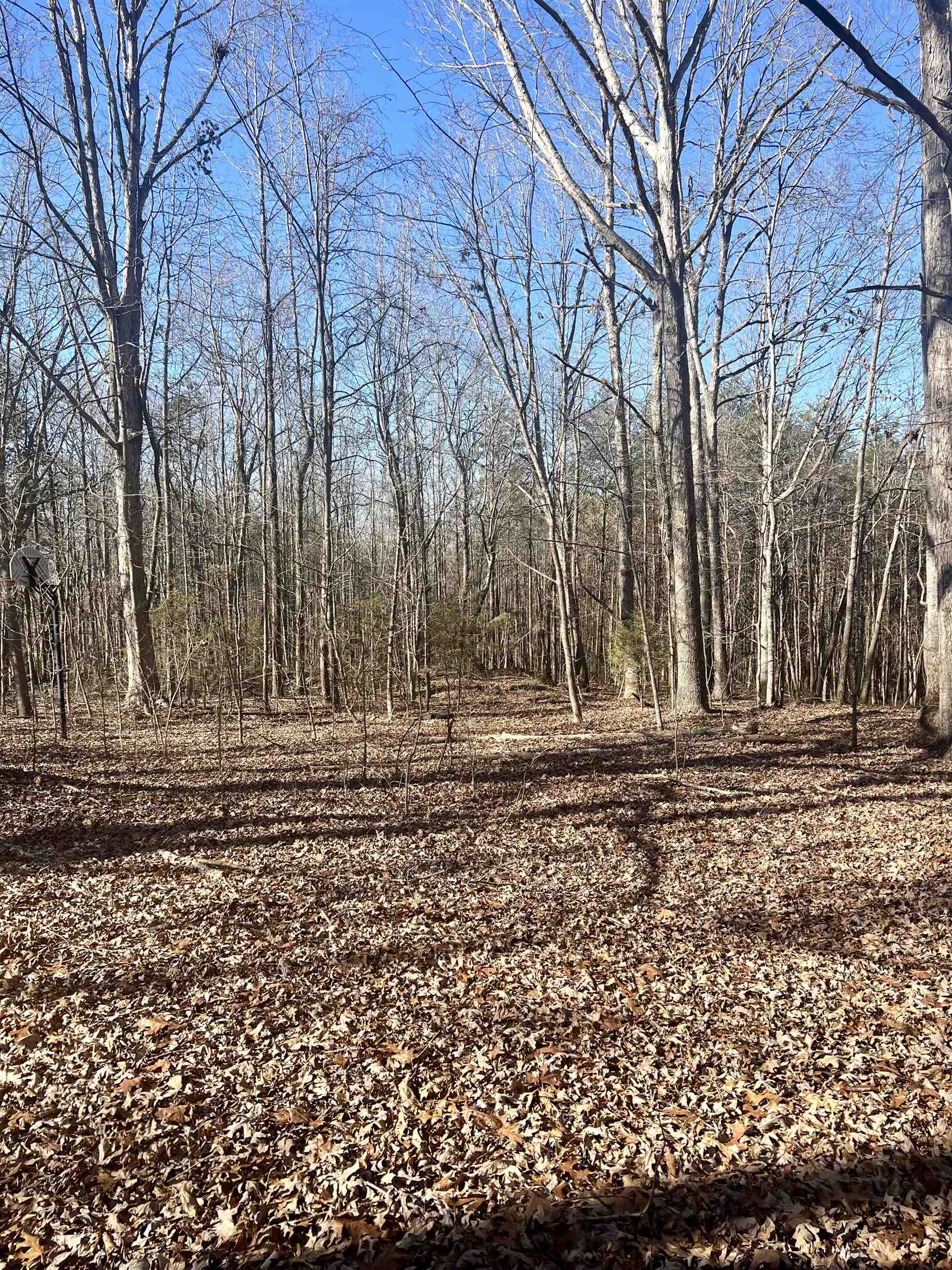 125 Blue Dawn Road Chesnee, SC 29323 - Photo 29 of 34