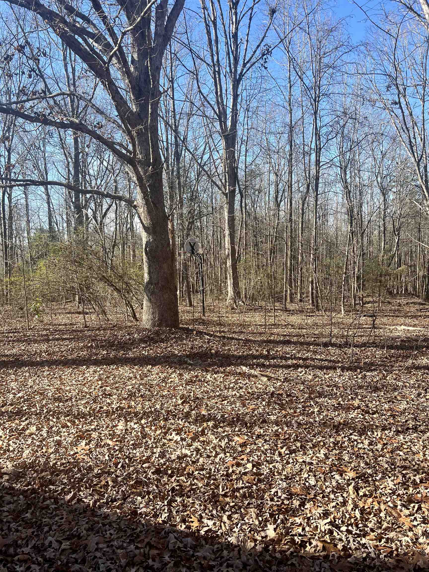 125 Blue Dawn Road Chesnee, SC 29323 - Photo 30 of 34