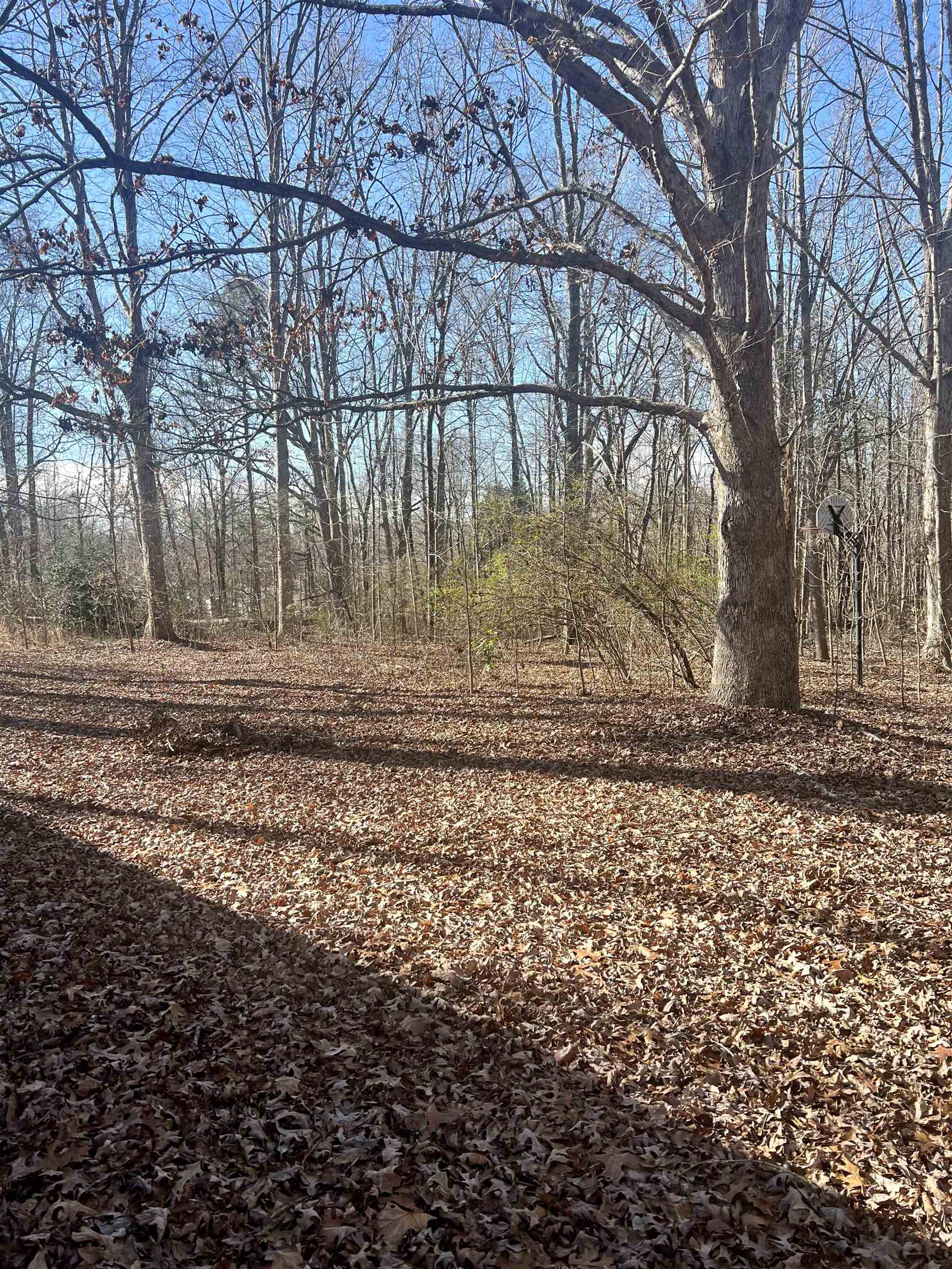 125 Blue Dawn Road Chesnee, SC 29323 - Photo 32 of 34