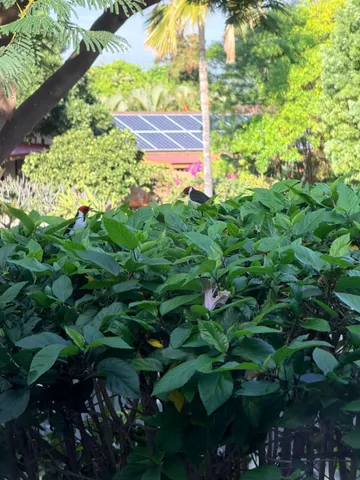 $739,000 | 68-3776 Laulea Place, Waikoloa, HI 96738