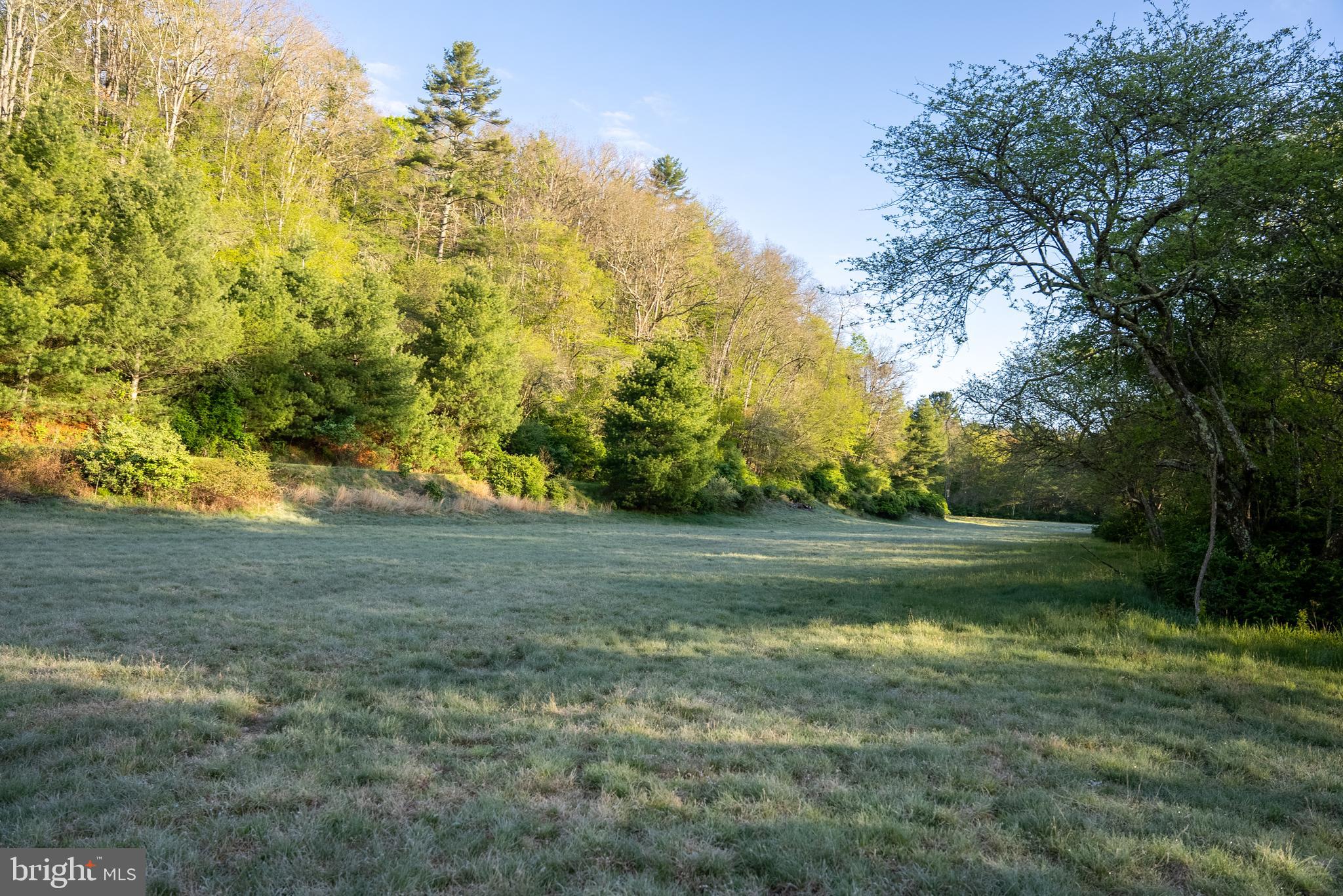 199 Green Bank Road Arbovale, WV 24915 - Photo 101 of 113