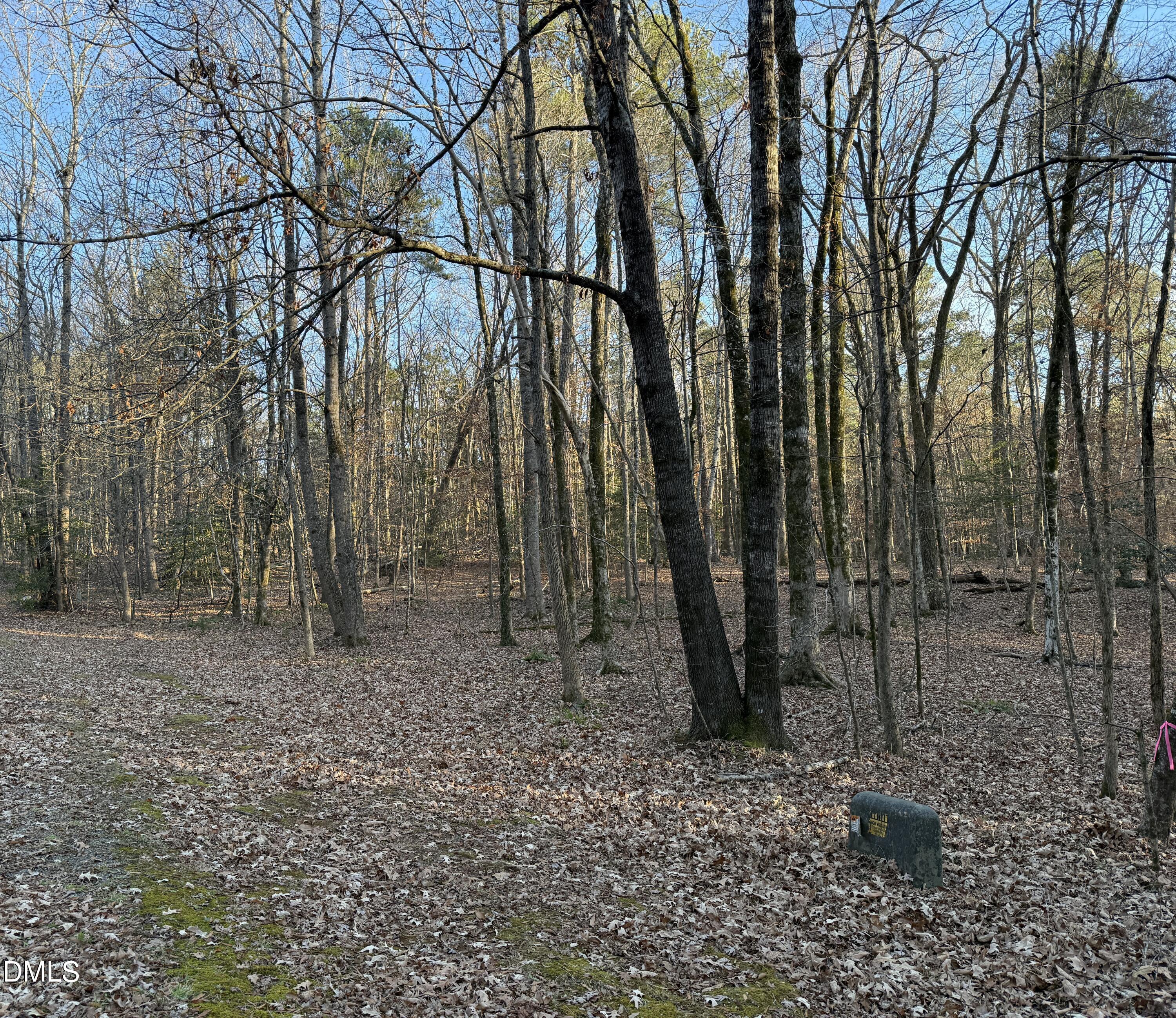 0 Woodland Road Littleton, NC 27850 - Photo 3 of 11 a backyard of a house with lots of green space
