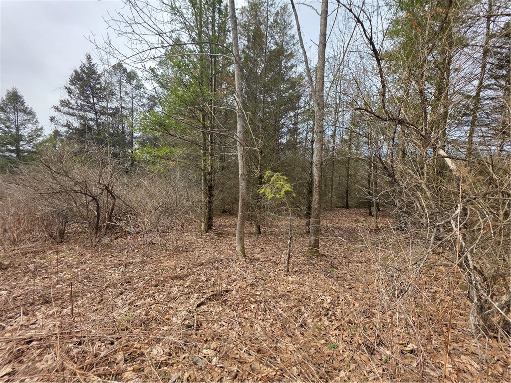 Dingman Hill Road Bainbridge, NY 13733 - Photo 12 of 21