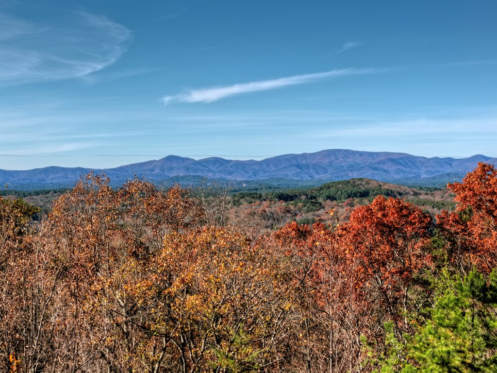 180 Cinnamon Bear Road Mineral Bluff, GA 30559 - Photo 21 of 76 a view of a large body of water with a mountain in the background