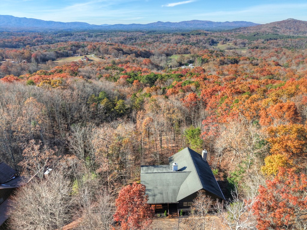 180 Cinnamon Bear Road Mineral Bluff, GA 30559 - Photo 23 of 76