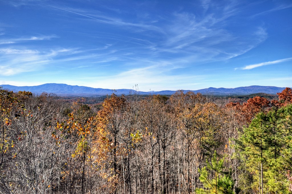 180 Cinnamon Bear Road Mineral Bluff, GA 30559 - Photo 28 of 76 a view of a city with lush green forest